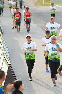 BIB: 
                            <button type="button" onclick="openModal(3548555)" class="btn btn-primary btn-sm float-right btn-popup" data-toggle="modal" data-target=".modal-high-quality">
                        <i class="fas fa-shopping-cart"></i> Add to Cart
                    </button>
                                            <button type="button" onclick="isThisMe(3548555, true)" class="btn btn-success btn-sm float-right btn-popup btn-isme hidden" data-toggle="tooltip" data-placement="bottom" title="นี่คือรูปของคุณใช่ไหม คลิกที่นี่เพื่อเอาเข้าอัลบั้ม">
                        <i class="fas fa-plus"></i> Add to album
                    </button>
                    <button type="button" onclick="isThisMe(3548555, false)" class="btn btn-warning btn-sm float-right btn-popup btn-isnotme hidden">
                        <i class="fas fa-ban"></i> Remove from album
                    </button>